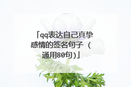 qq表达自己真挚感情的签名句子 (通用80句)