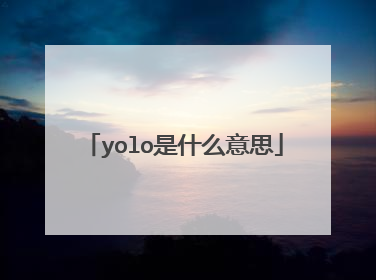 yolo是什么意思