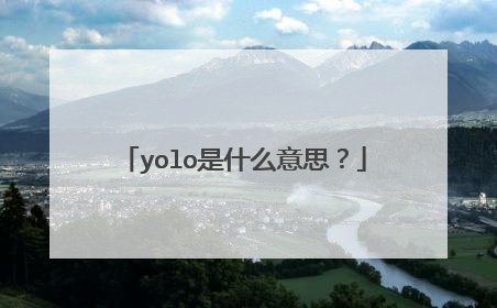 yolo是什么意思？