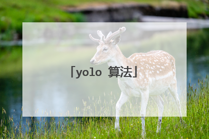 yolo 算法