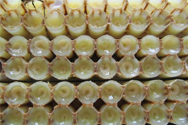 蜂王浆吃多少合适 蜂王浆吃多了有什么副作用