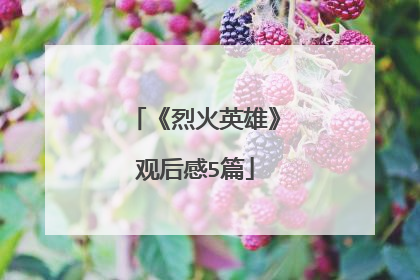 《烈火英雄》观后感5篇