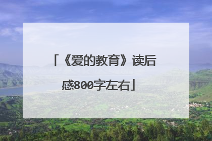《爱的教育》读后感800字左右
