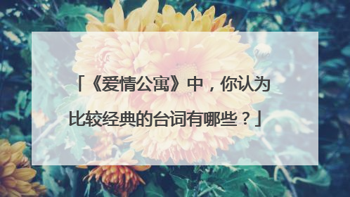 《爱情公寓》中，你认为比较经典的台词有哪些？