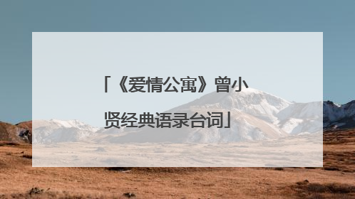 《爱情公寓》曾小贤经典语录台词
