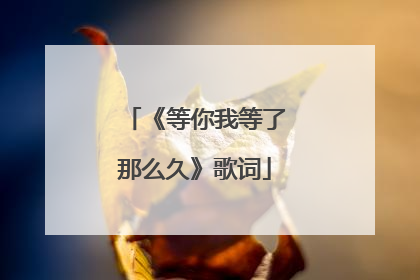 《等你我等了那么久》歌词