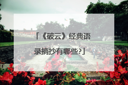 《破云》经典语录摘抄有哪些?