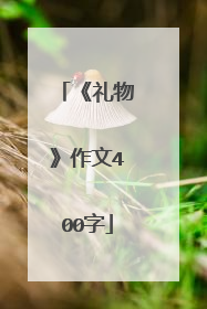 《礼物》作文400字