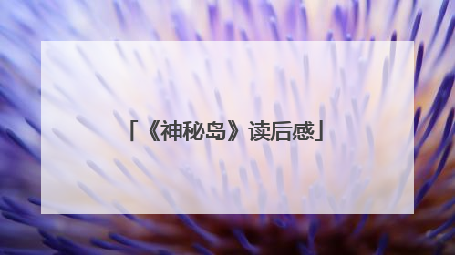 《神秘岛》读后感