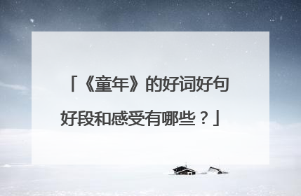 《童年》的好词好句好段和感受有哪些？