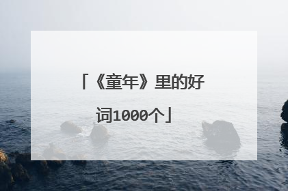 《童年》里的好词1000个