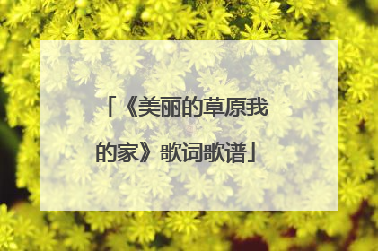 《美丽的草原我的家》歌词歌谱