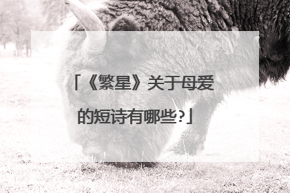 《繁星》关于母爱的短诗有哪些?
