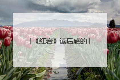 《红岩》读后感的