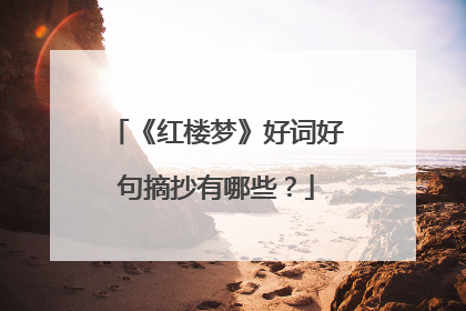 《红楼梦》好词好句摘抄有哪些？