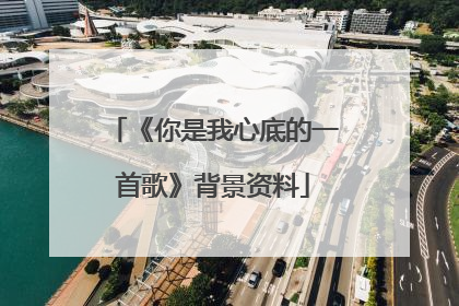 《你是我心底的一首歌》背景资料