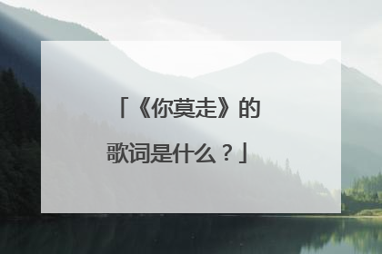 《你莫走》的歌词是什么？