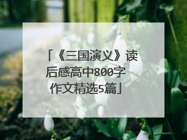 《三国演义》读后感高中800字作文精选5篇