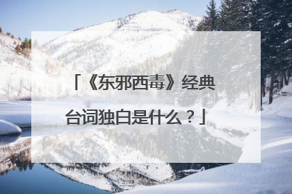 《东邪西毒》经典台词独白是什么？