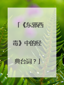 《东邪西毒》中的经典台词?