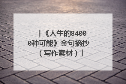 《人生的84000种可能》金句摘抄（写作素材）