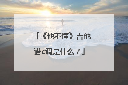 《他不懂》吉他谱c调是什么？