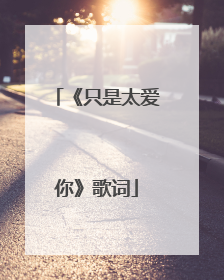《只是太爱你》歌词