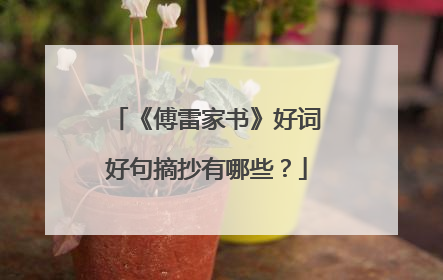 《傅雷家书》好词好句摘抄有哪些？