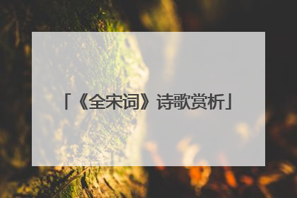 《全宋词》诗歌赏析
