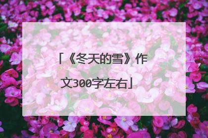 《冬天的雪》作文300字左右