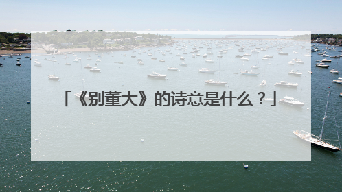 《别董大》的诗意是什么?