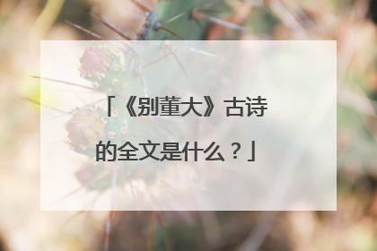 《别董大》古诗的全文是什么？