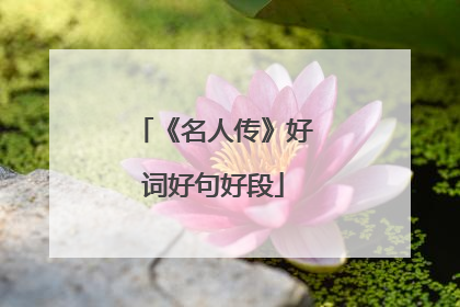 《名人传》好词好句好段