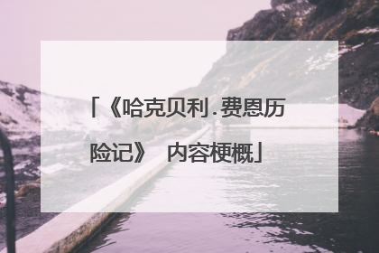 《哈克贝利.费恩历险记》 内容梗概