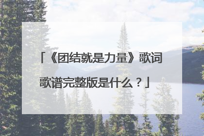 《团结就是力量》歌词歌谱完整版是什么？