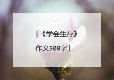 《学会生存》作文500字