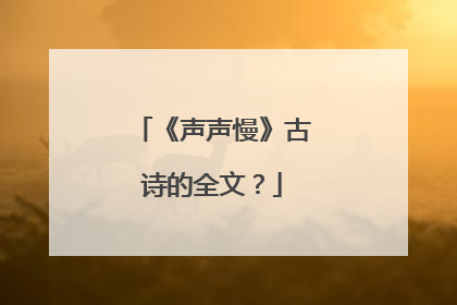 《声声慢》古诗的全文?
