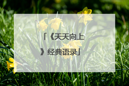 《天天向上》经典语录