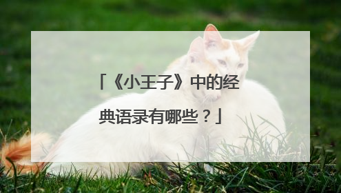 《小王子》中的经典语录有哪些？