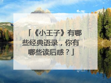 《小王子》有哪些经典语录,你有哪些读后感?