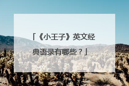 《小王子》英文经典语录有哪些？