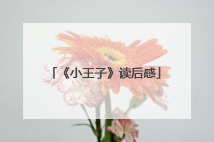 《小王子》读后感