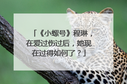 《小螺号》程琳，在爱过伤过后，她现在过得如何了？