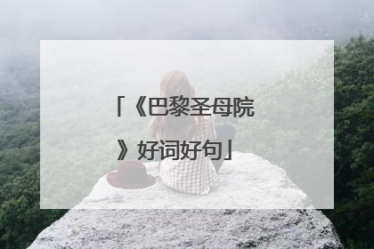 《巴黎圣母院》好词好句