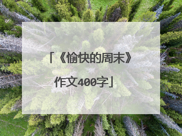 《愉快的周末》作文400字