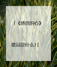 《感恩的心》歌词是什么?