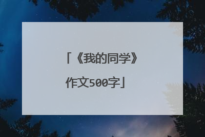 《我的同学》作文500字