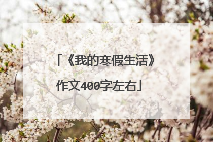 《我的寒假生活》作文400字左右