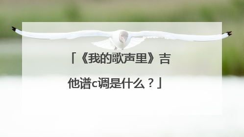 《我的歌声里》吉他谱c调是什么？