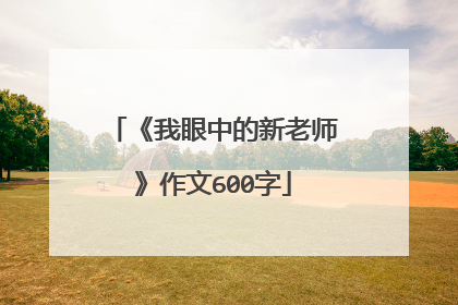 《我眼中的新老师》作文600字